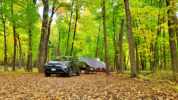 미네소타 캠프사이트에 세워진 라브4