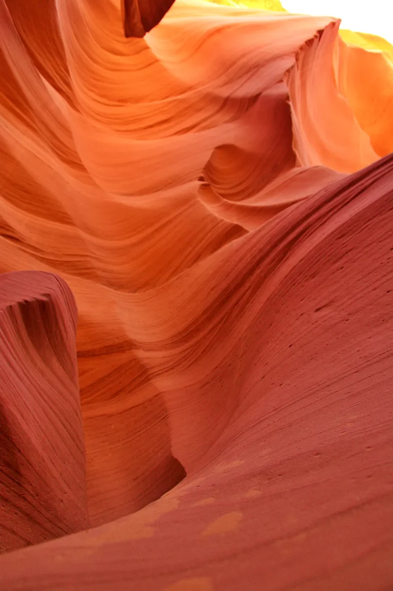 그랜드 캐년 가이드 투어