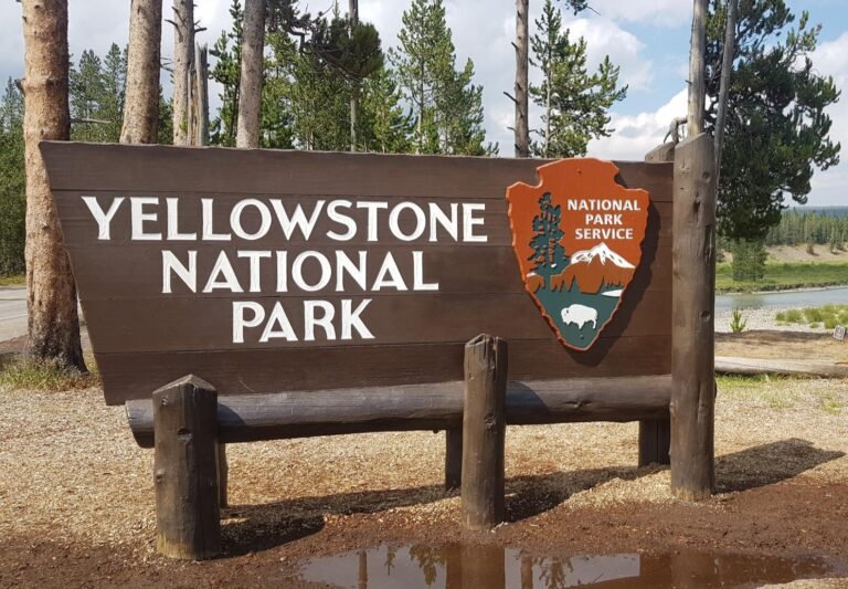 옐로스톤 국립공원