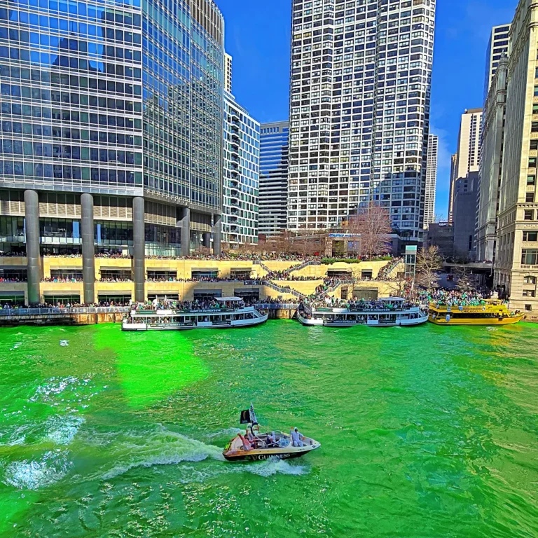 세인트 패트릭스 데이 시카고 리버다잉