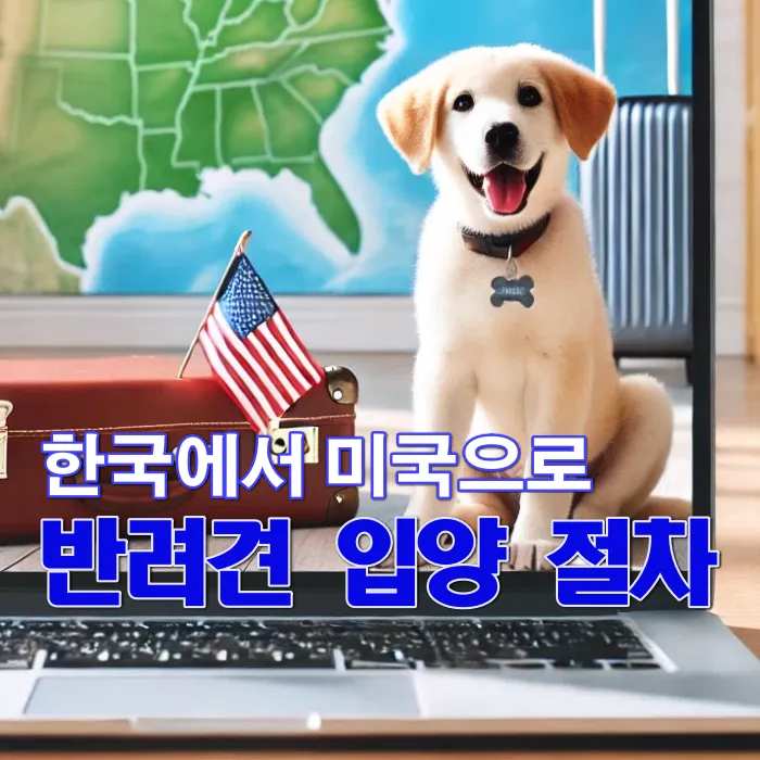 한국에서 미국으로 반려견 입양 절차