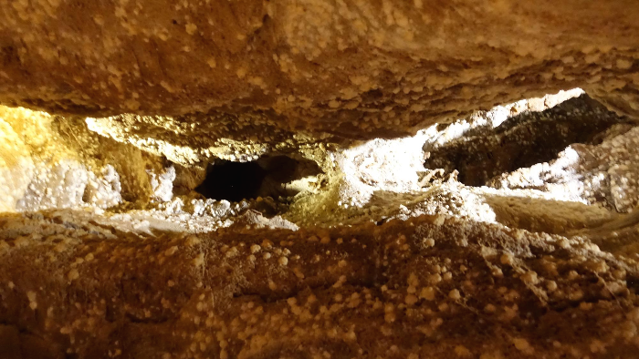 윈드케이브 내부로 들어가는 계단과 특이한 구조들