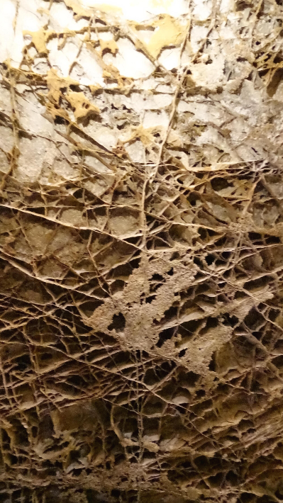 윈드케이브 내부에서 흔히 볼 수 있는 Boxwork 구조