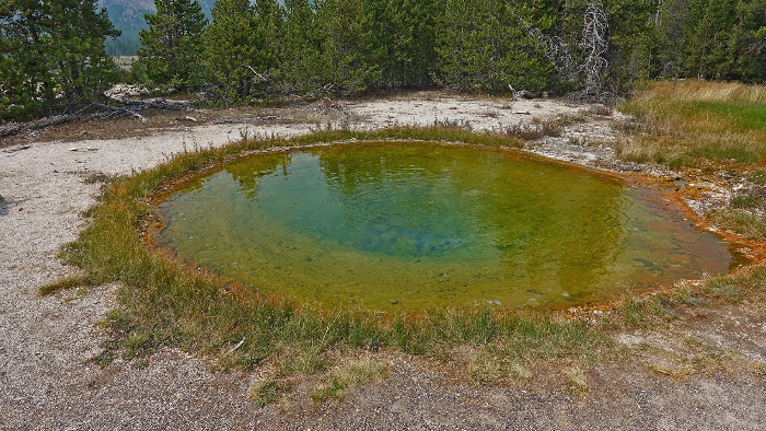 스프라이트 호 Sprite Pool & 점 호 Gem Pool