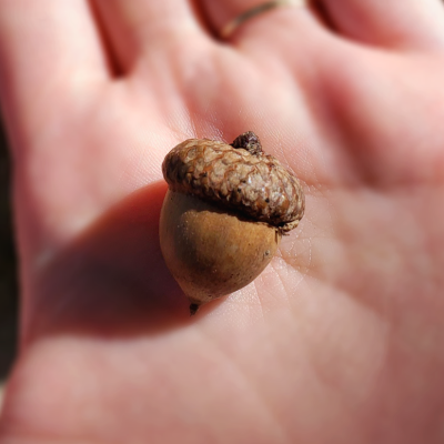 미네오파 주립공원