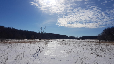 와일드 리버 주립공원