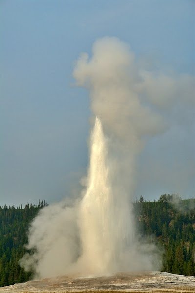 old faithful at YNP