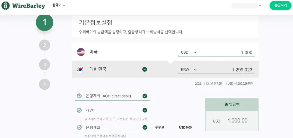 와이어바알리 송금 화면 예시