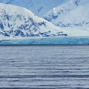 알래스카 크루즈