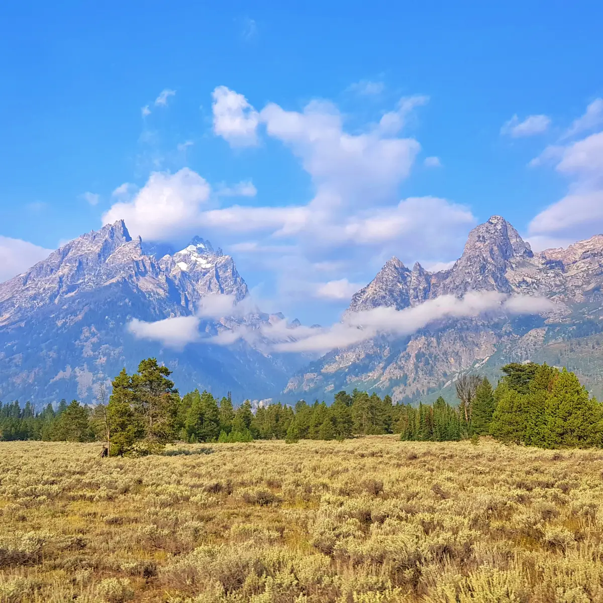 그랜드 티턴 국립공원